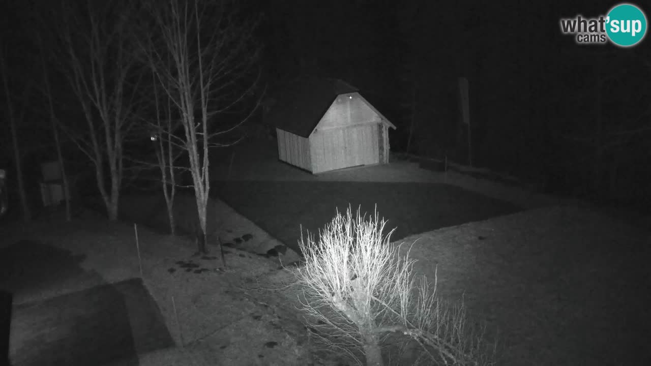 Webcam Lukanja – Water Village | Pohorje Houses