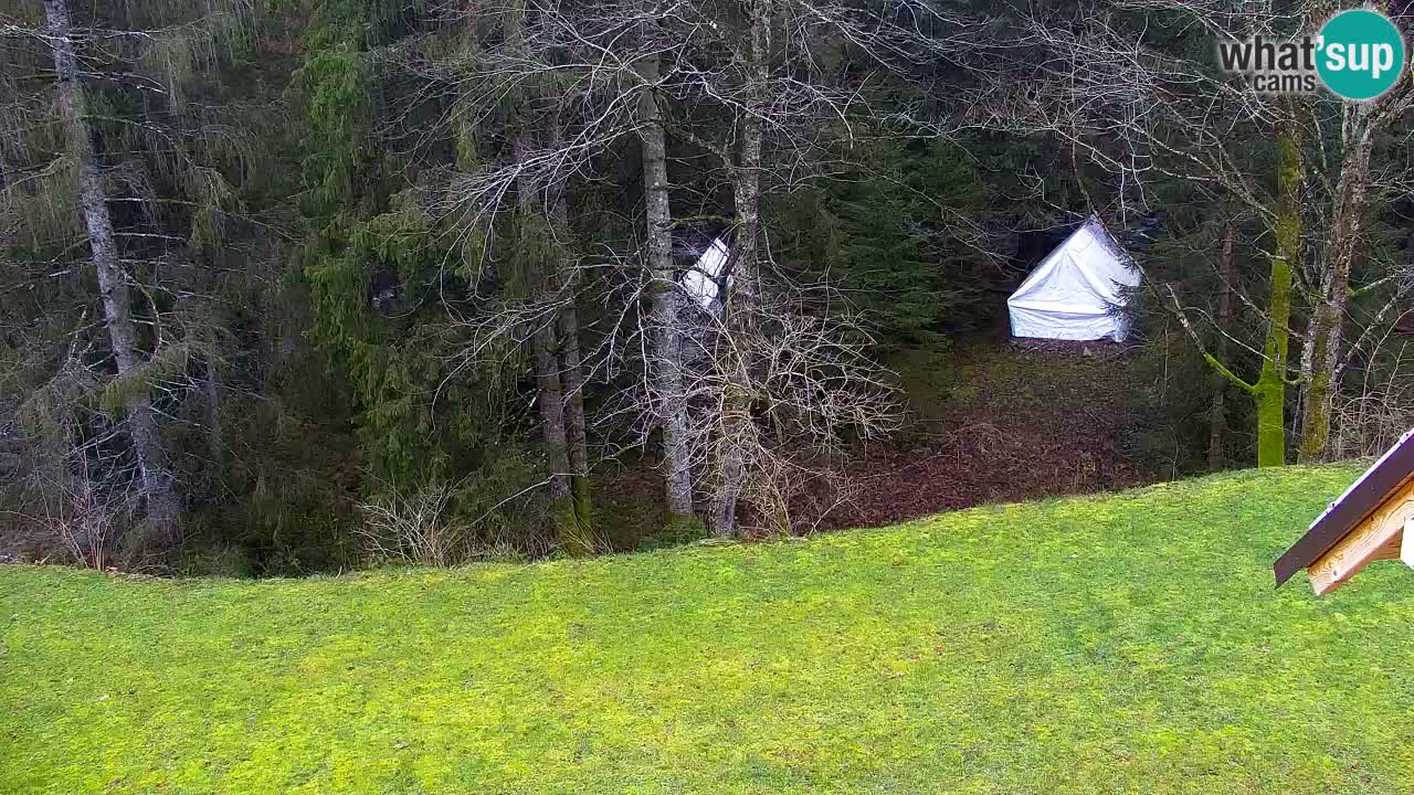 Webcam Lukanja – Water Village | Pohorje Houses