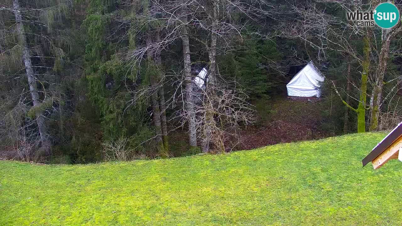 Webcam Lukanja – Pohorje houses a Water village