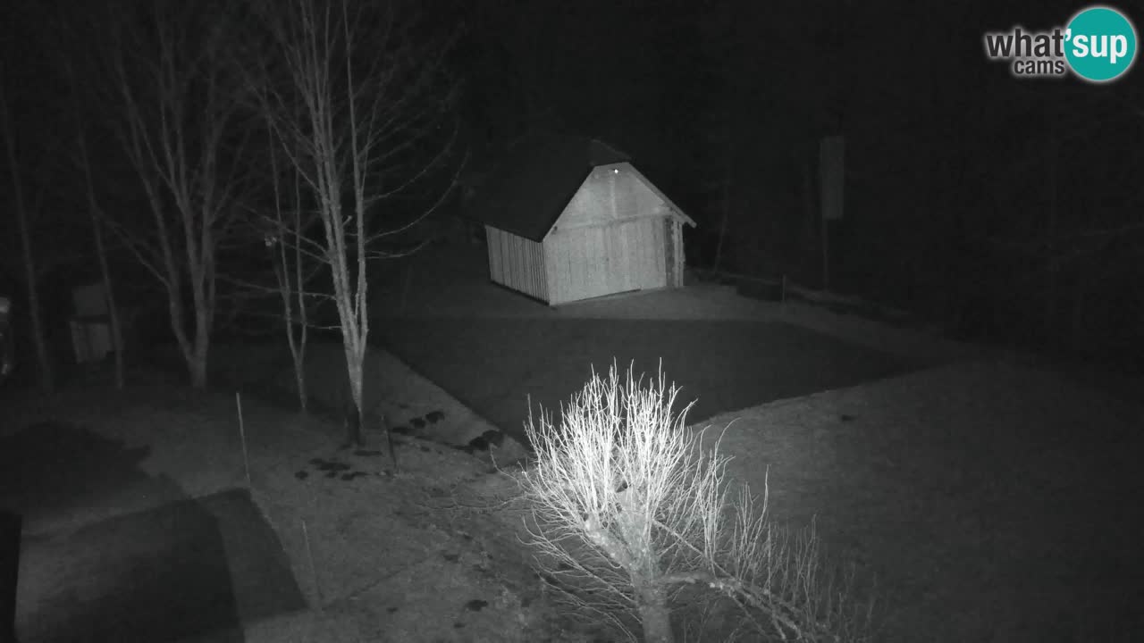 Webcam Lukanja – Water Village | Pohorje Houses