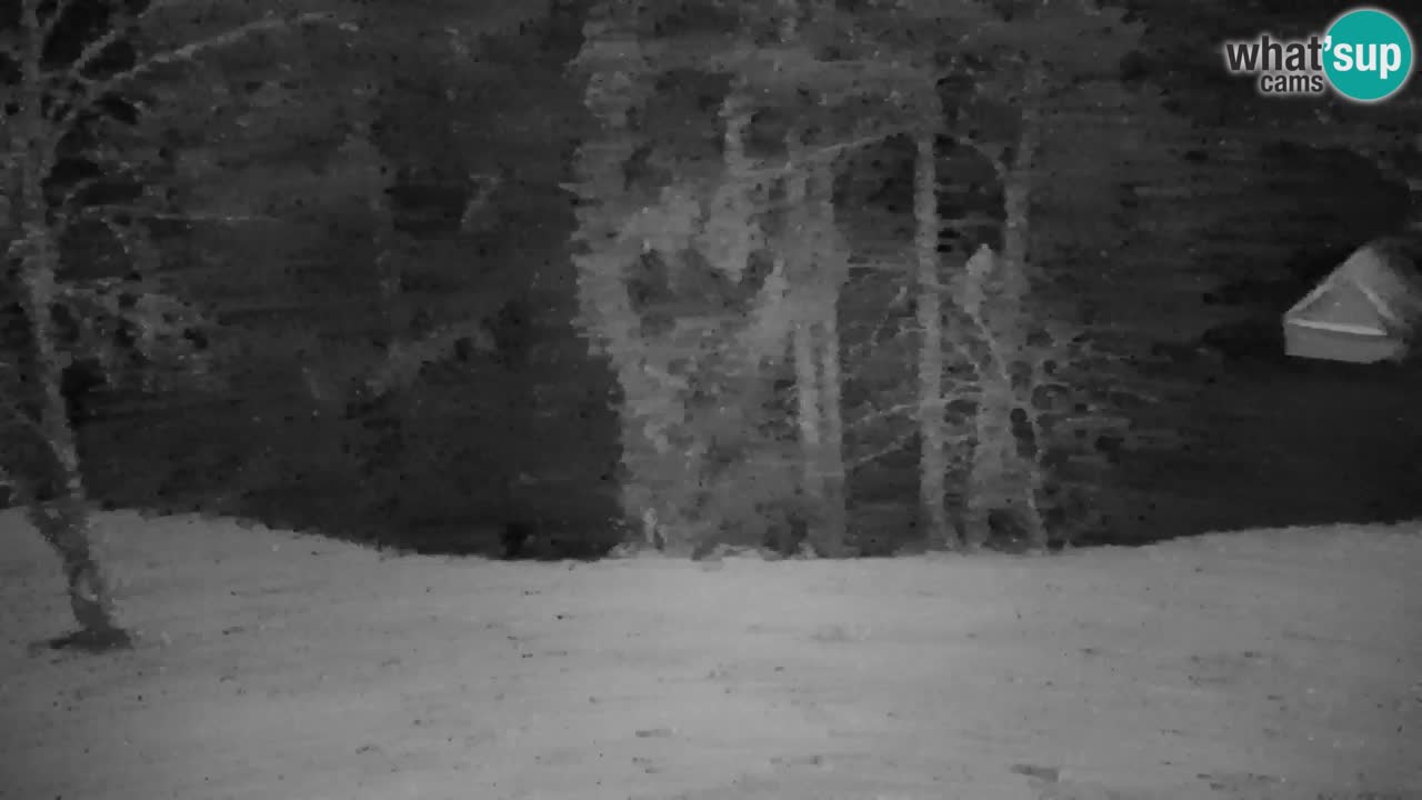 Webcam Lukanja – Pohorje houses a Water village