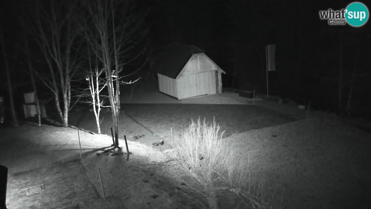 Webcam Lukanja – Pohorje houses a Water village