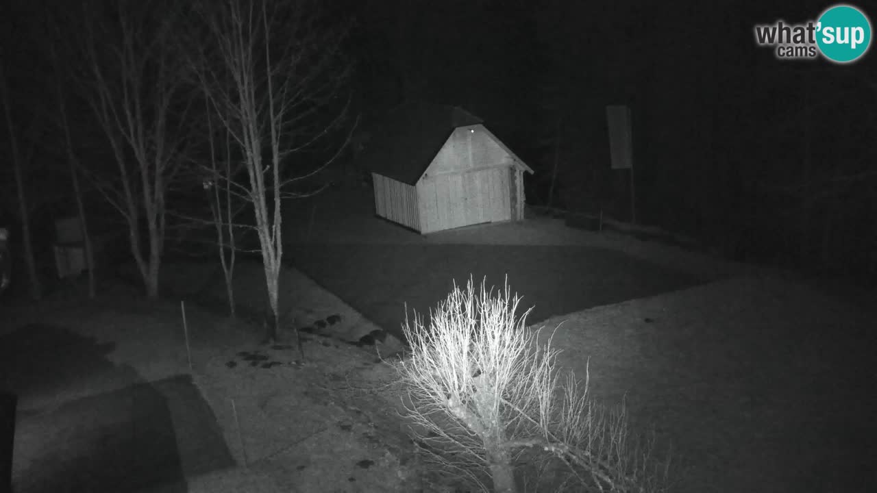 Webcam Lukanja – Water Village | Pohorje Houses