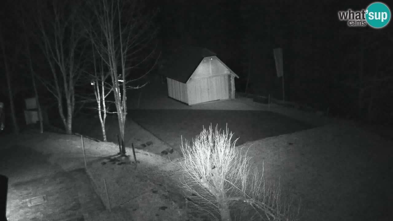 Webcam Lukanja – Pohorje houses a Water village