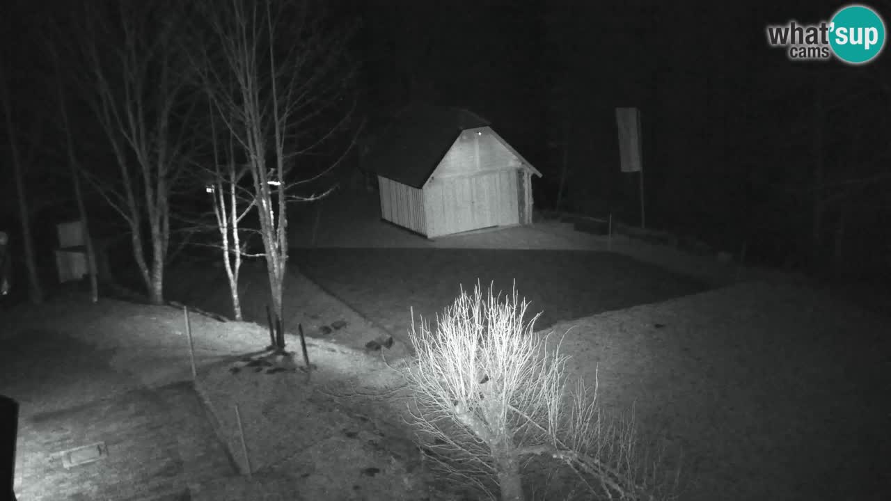 Webcam Lukanja – Water Village | Pohorje Houses