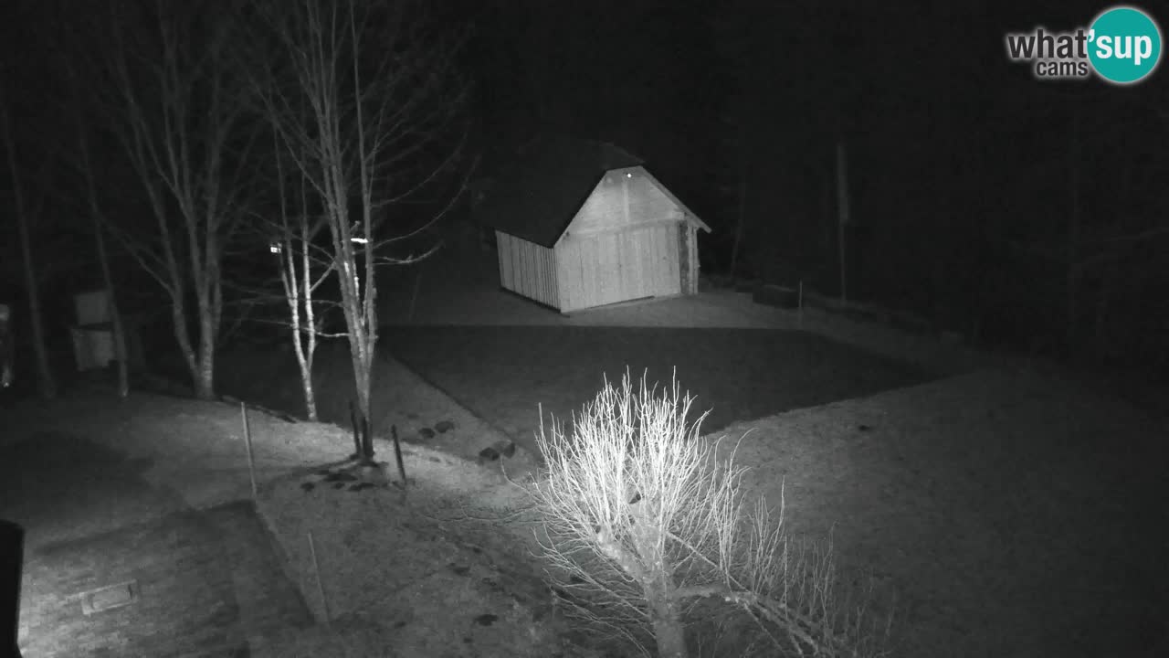 Webcam Lukanja – Water Village | Pohorje Houses