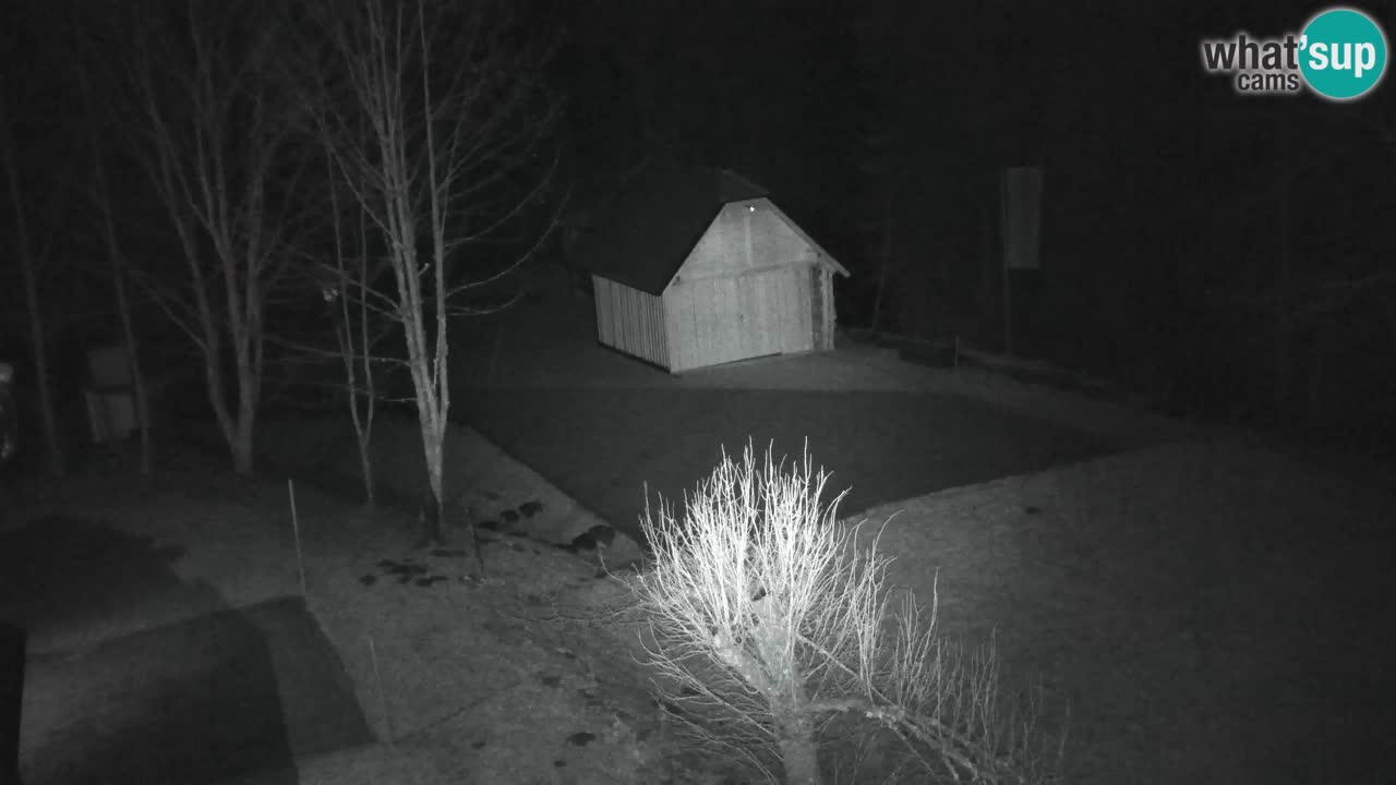 Webcam Lukanja – Water Village | Pohorje Houses