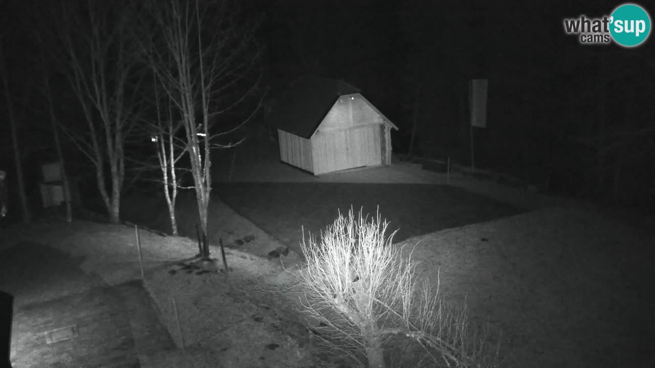 Webcam Lukanja – Water Village | Pohorje Houses