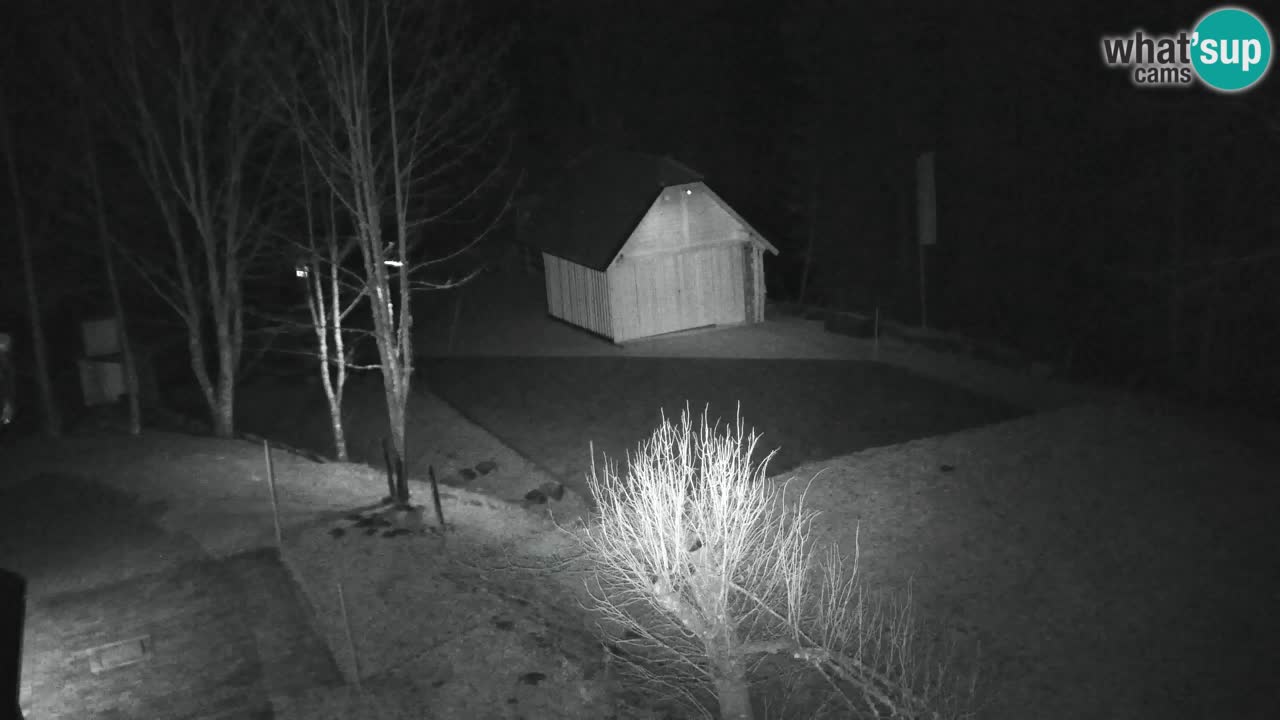 Webcam Lukanja – Pohorje houses a Water village