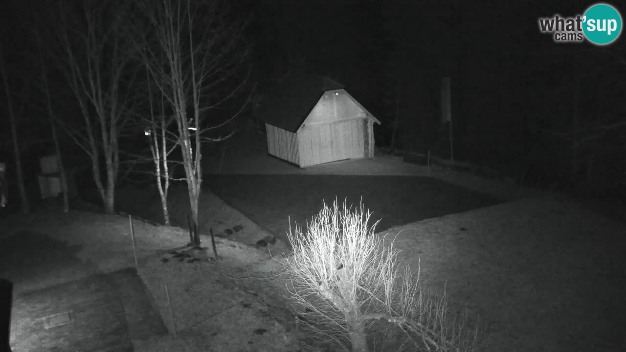 Webcam Lukanja – Water Village | Pohorje Houses