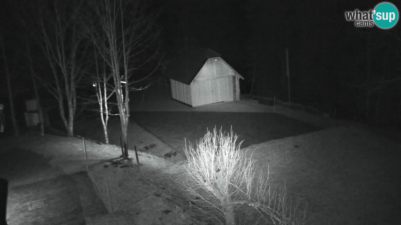 Webcam Lukanja – Water Village | Pohorje Houses