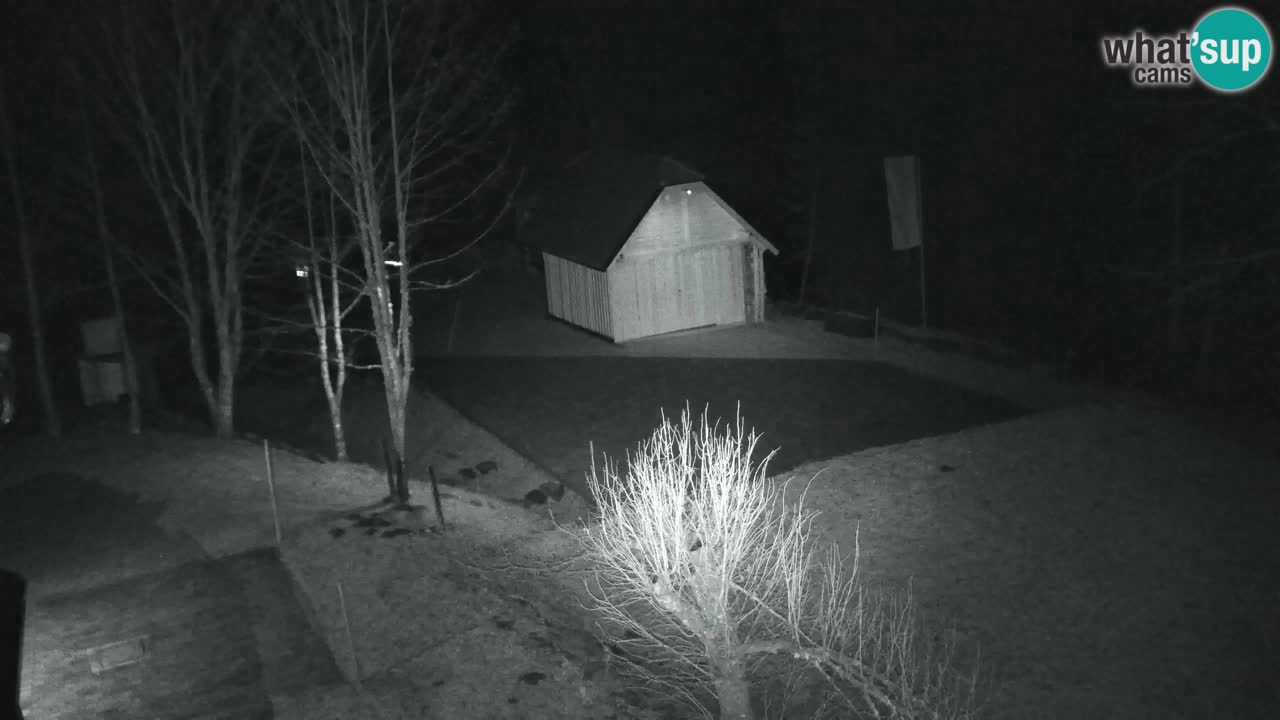 Webcam Lukanja – Water Village | Pohorje Houses