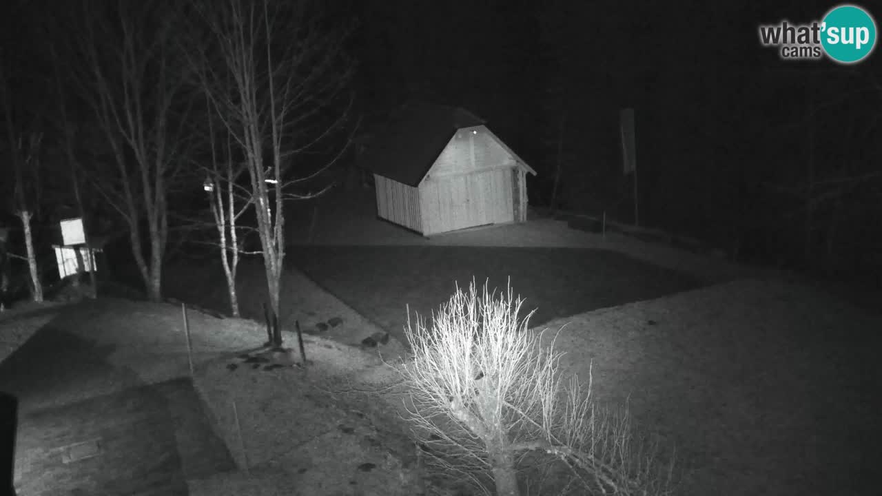 Webcam Lukanja – Water Village | Pohorje Houses