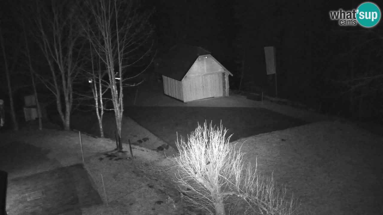 Webcam Lukanja – Water Village | Pohorje Houses