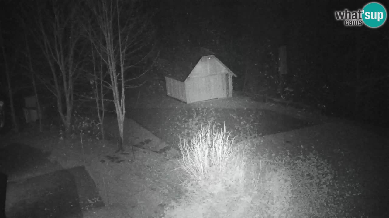 Webcam Lukanja – Water Village | Pohorje Houses