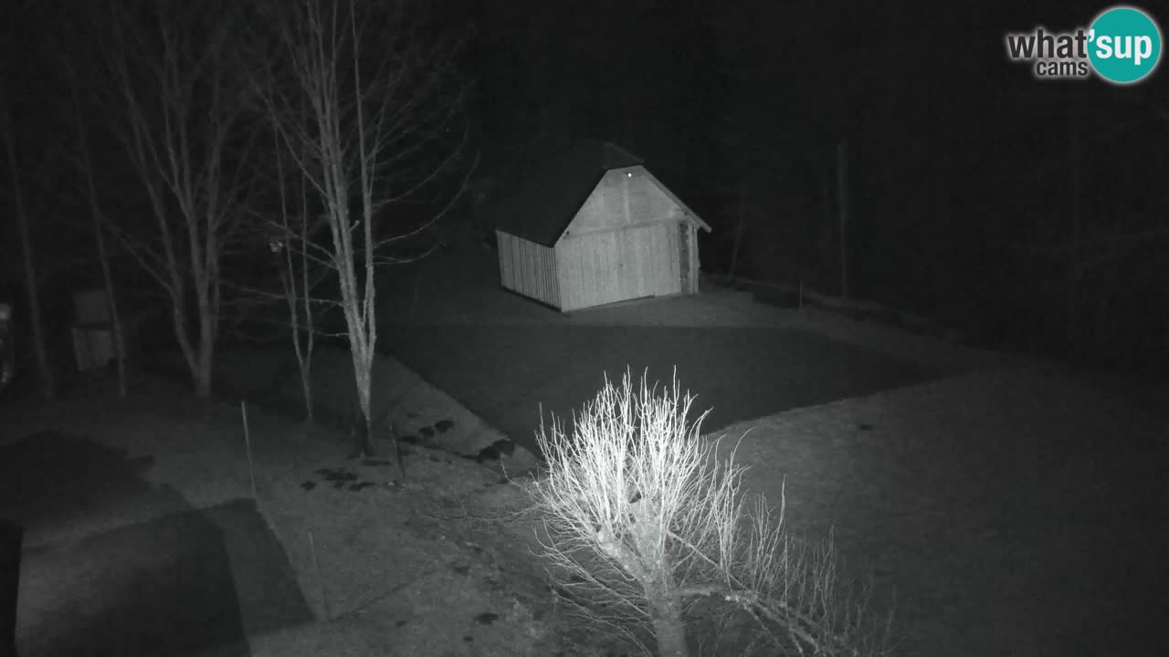 Webcam Lukanja – Pohorje houses a Water village