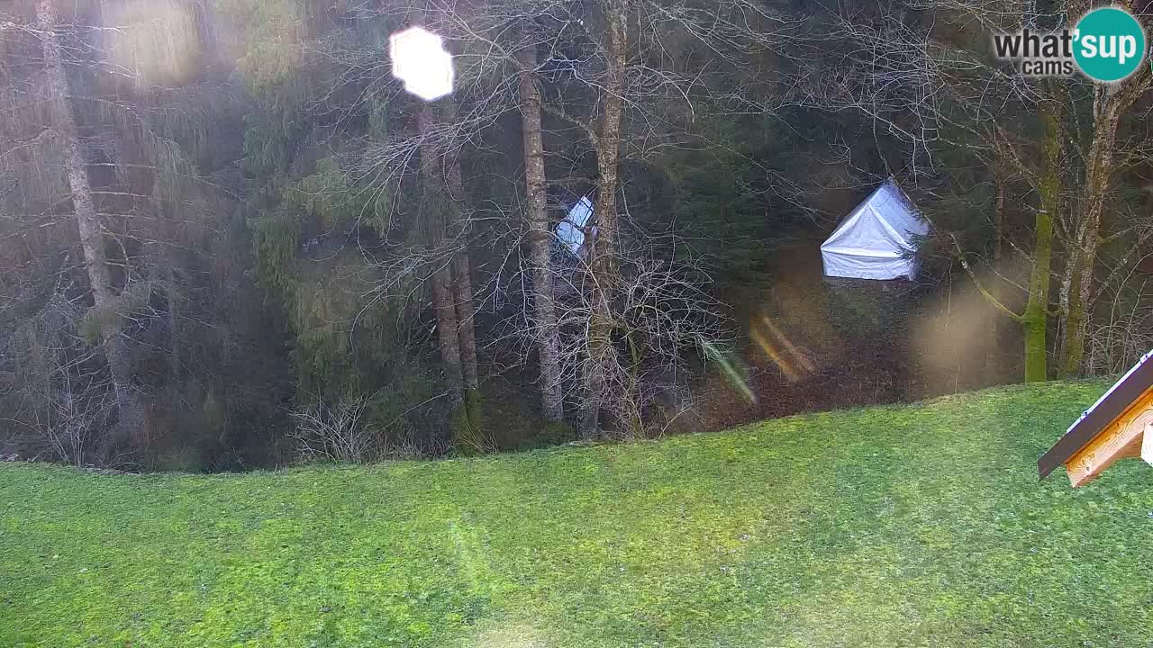 Webcam Lukanja – Pohorje houses a Water village