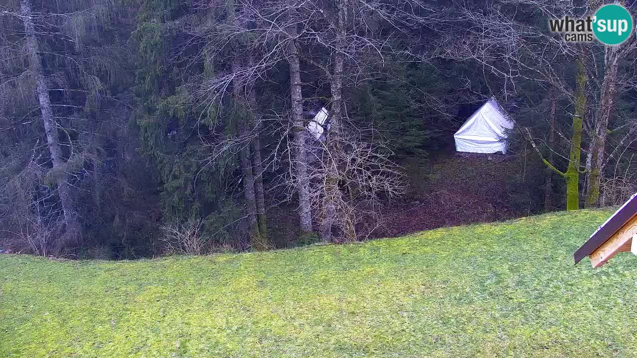 Webcam Lukanja – Water Village | Pohorje Houses