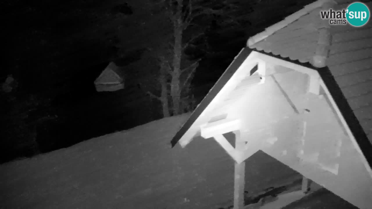 Webcam Lukanja – Pohorje houses a Water village