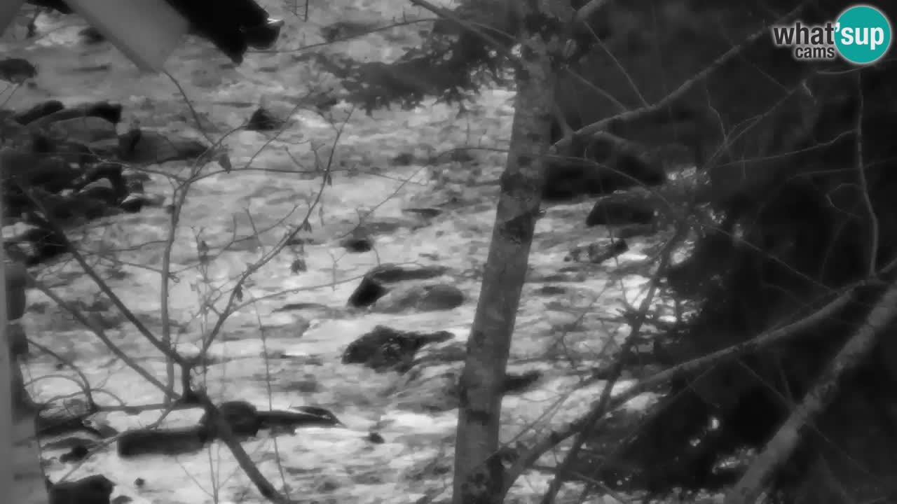 Webcam Lukanja – Water Village | Pohorje Houses