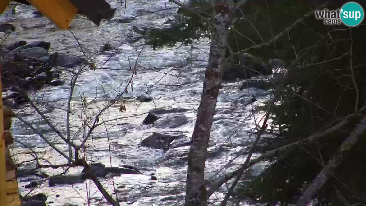 Web kamera Lukanja – Water Village | Pohorje Houses