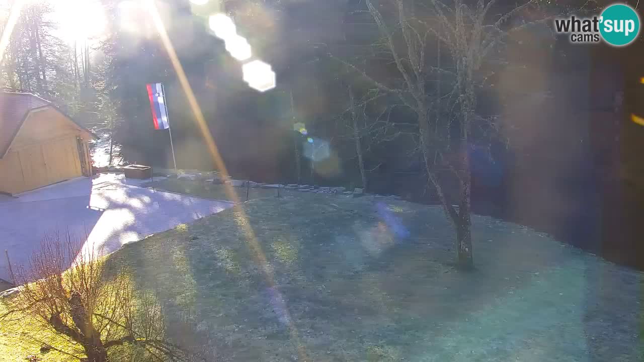 Webcam Lukanja – Water Village | Pohorje Houses