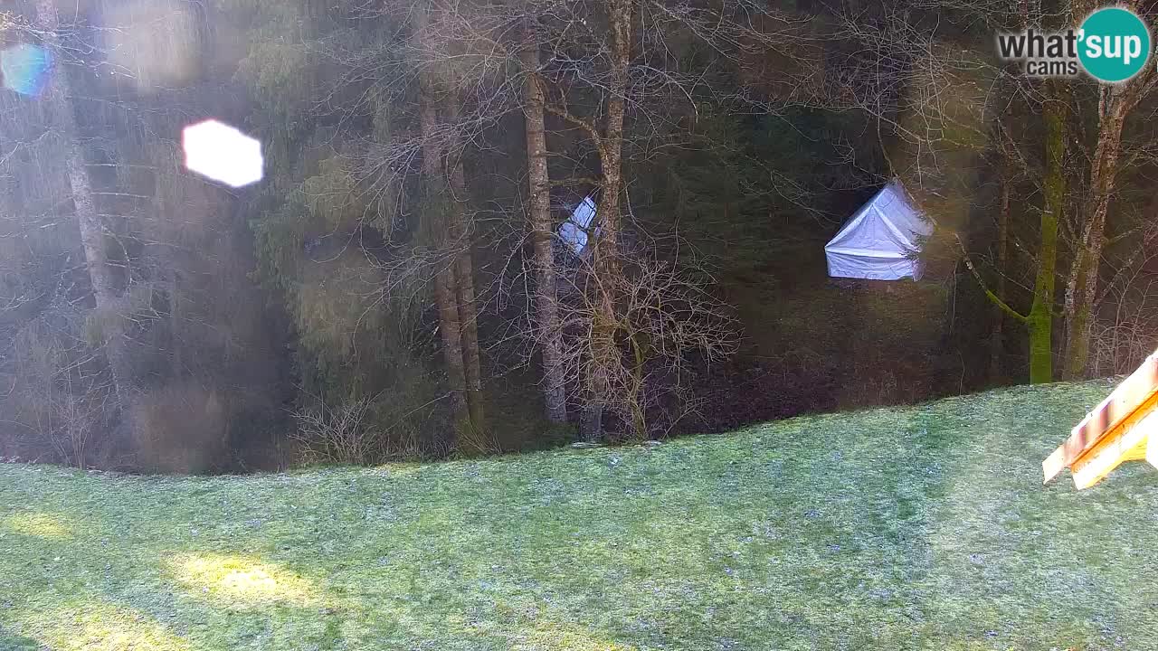 Webcam Lukanja – Water Village | Pohorje Houses