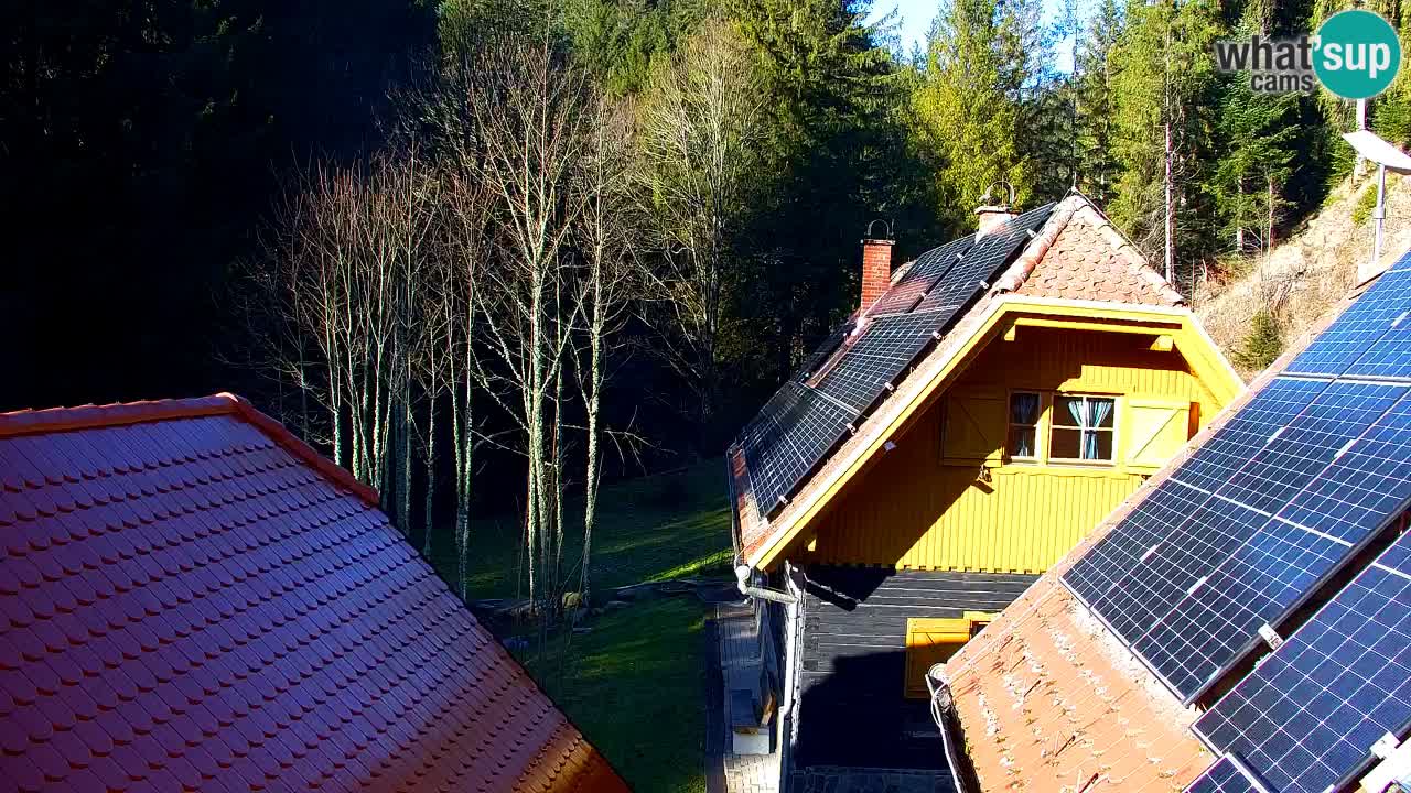 Spletna kamera Lukanja – Water Village | Pohorje Houses