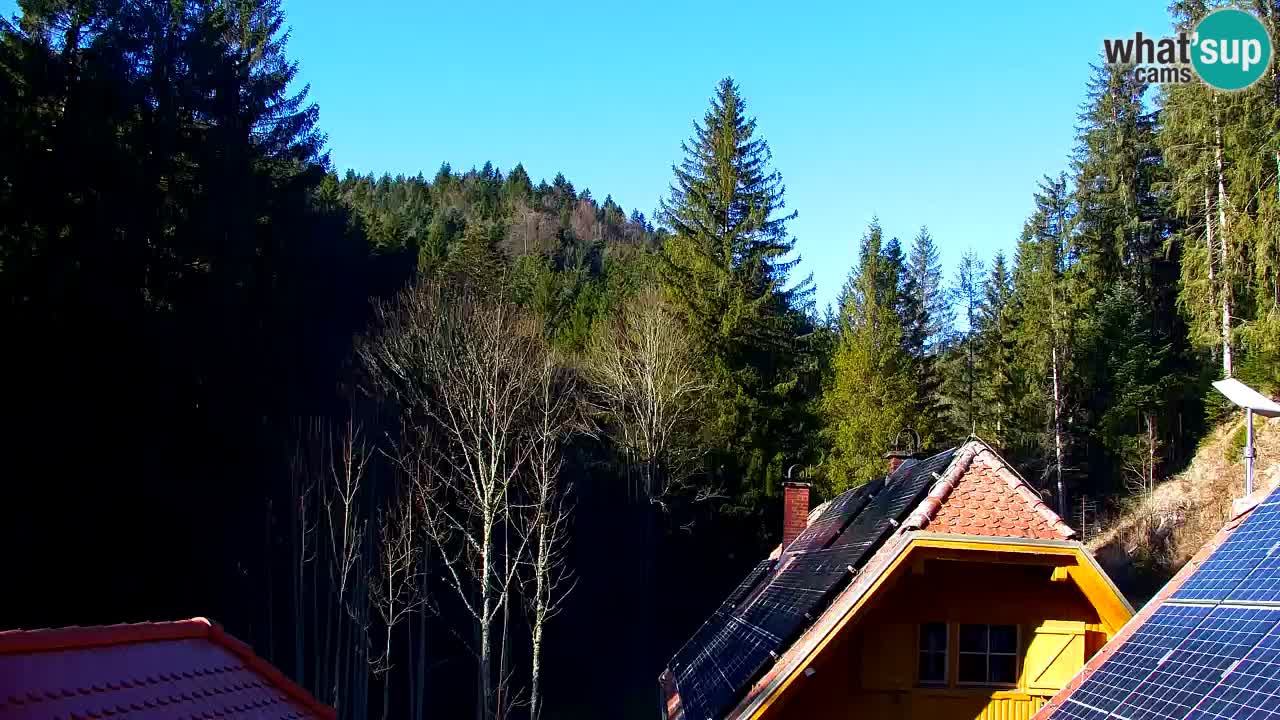 Web kamera Lukanja – Water Village | Pohorje Houses