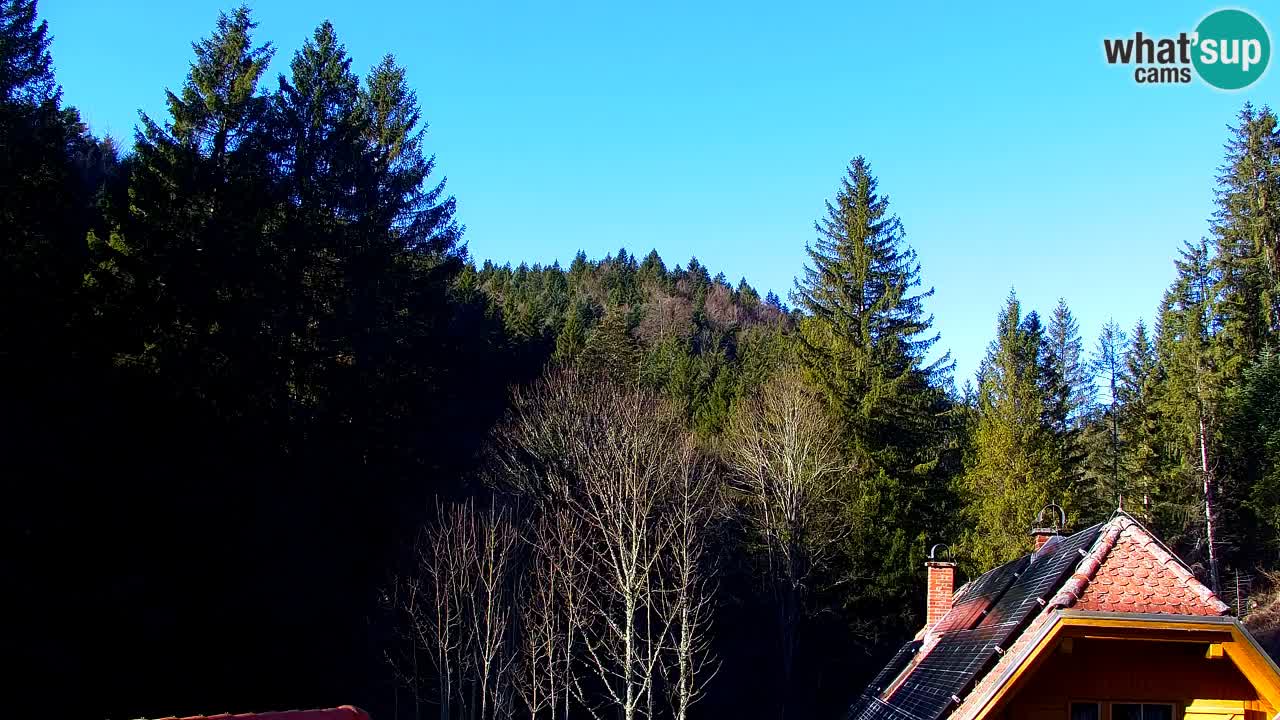 Webcam Lukanja – Water Village | Pohorje Houses