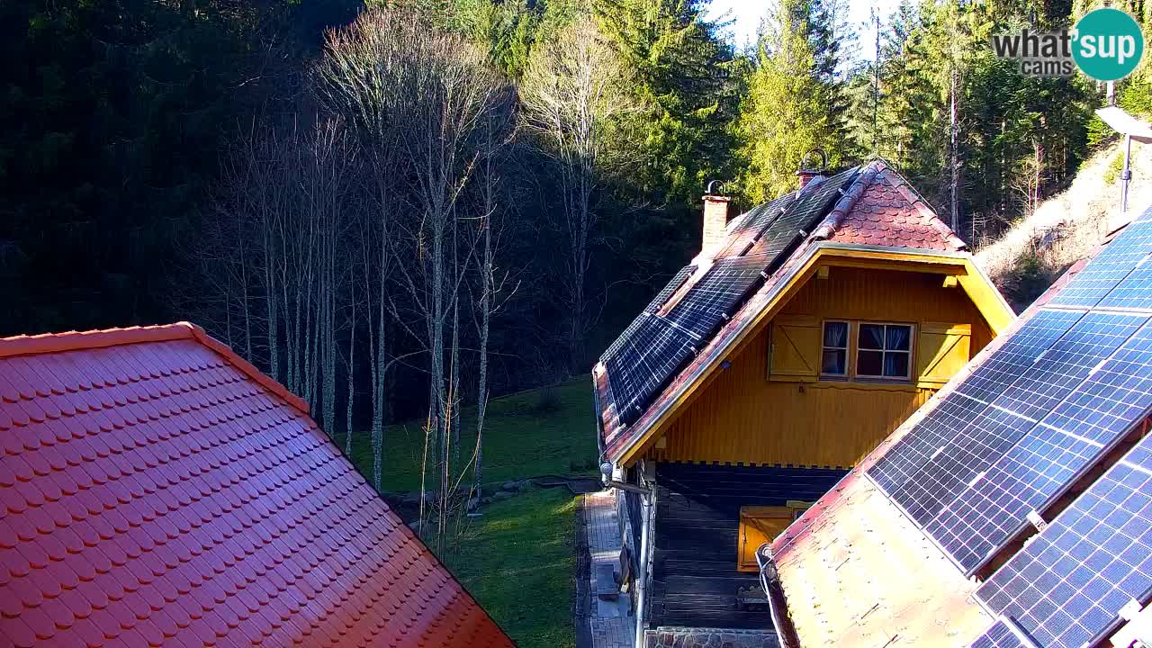 Webcam Lukanja – Water Village | Pohorje Houses