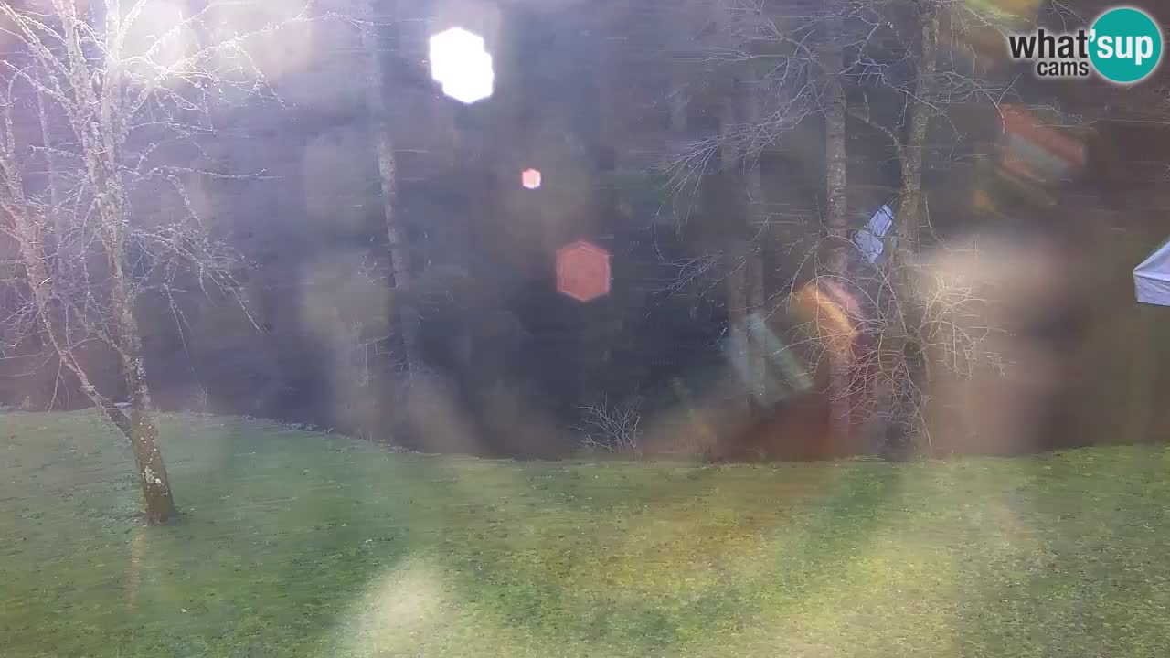 Webcam Lukanja – Pohorje houses a Water village