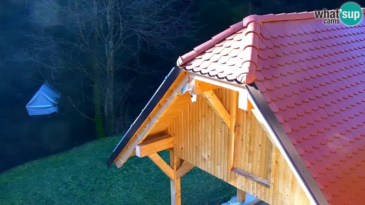 Webcam Lukanja – Water Village | Pohorje Houses