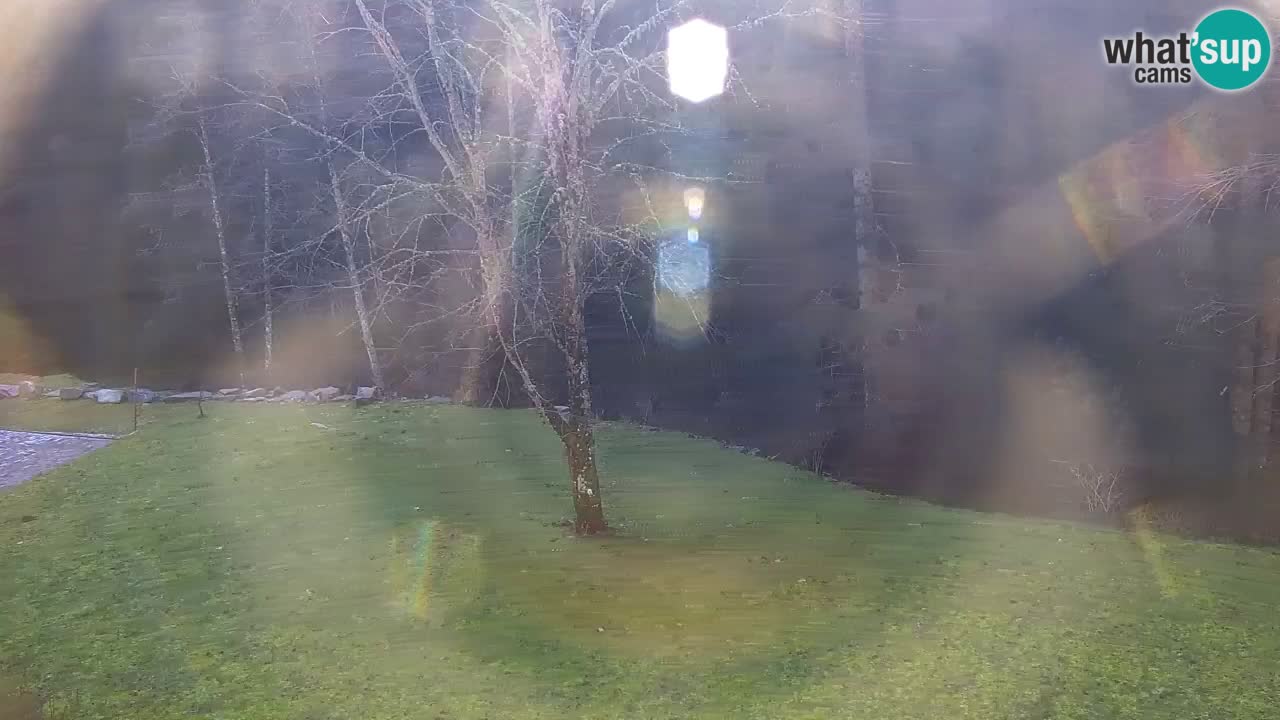 Spletna kamera Lukanja – Water Village | Pohorje Houses