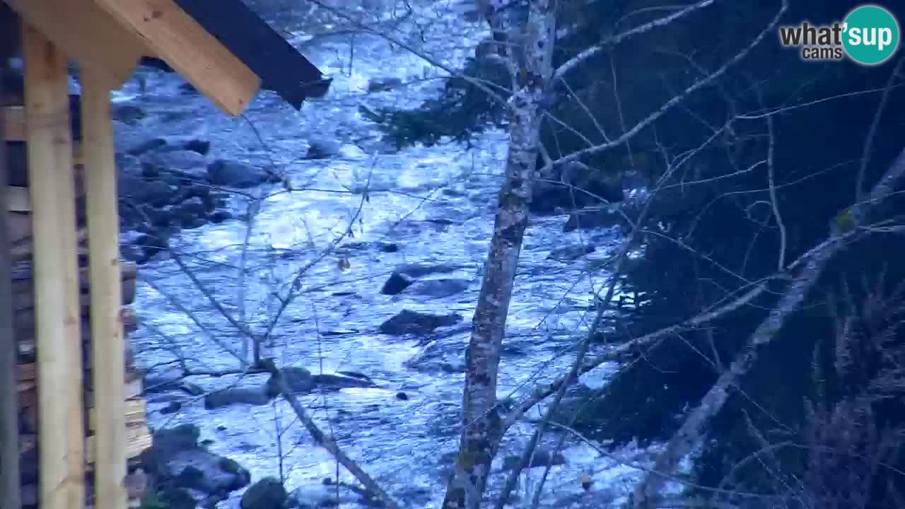 Web kamera Lukanja – Water Village | Pohorje Houses