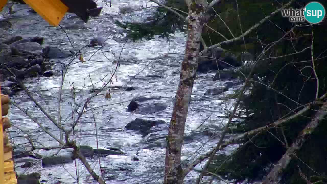 Web kamera Lukanja – Water Village | Pohorje Houses