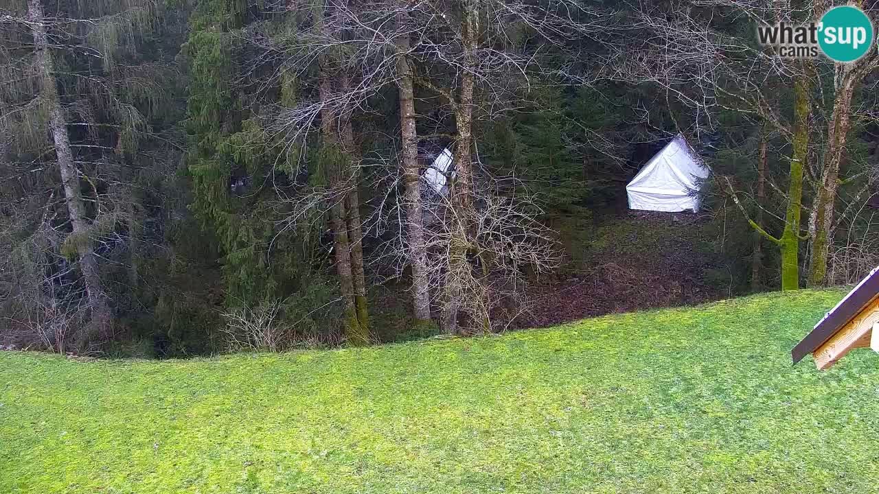 Webcam Lukanja – Pohorje houses a Water village