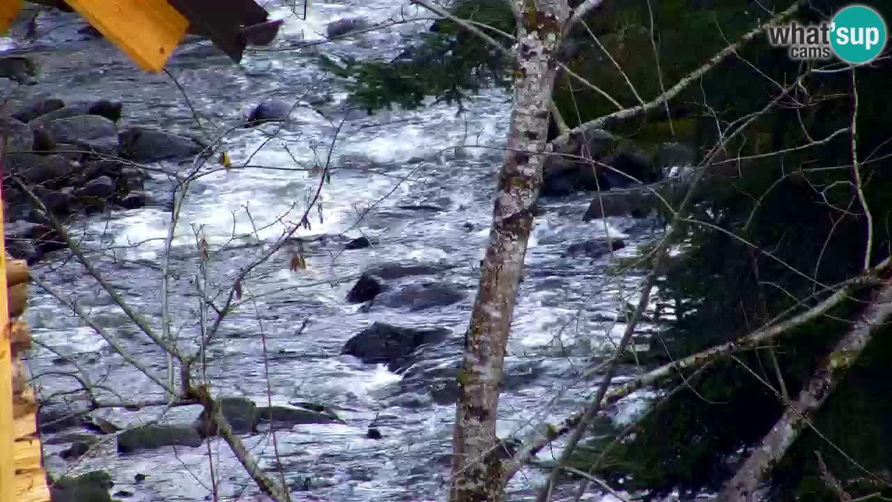 Webcam Lukanja – Water Village | Pohorje Houses