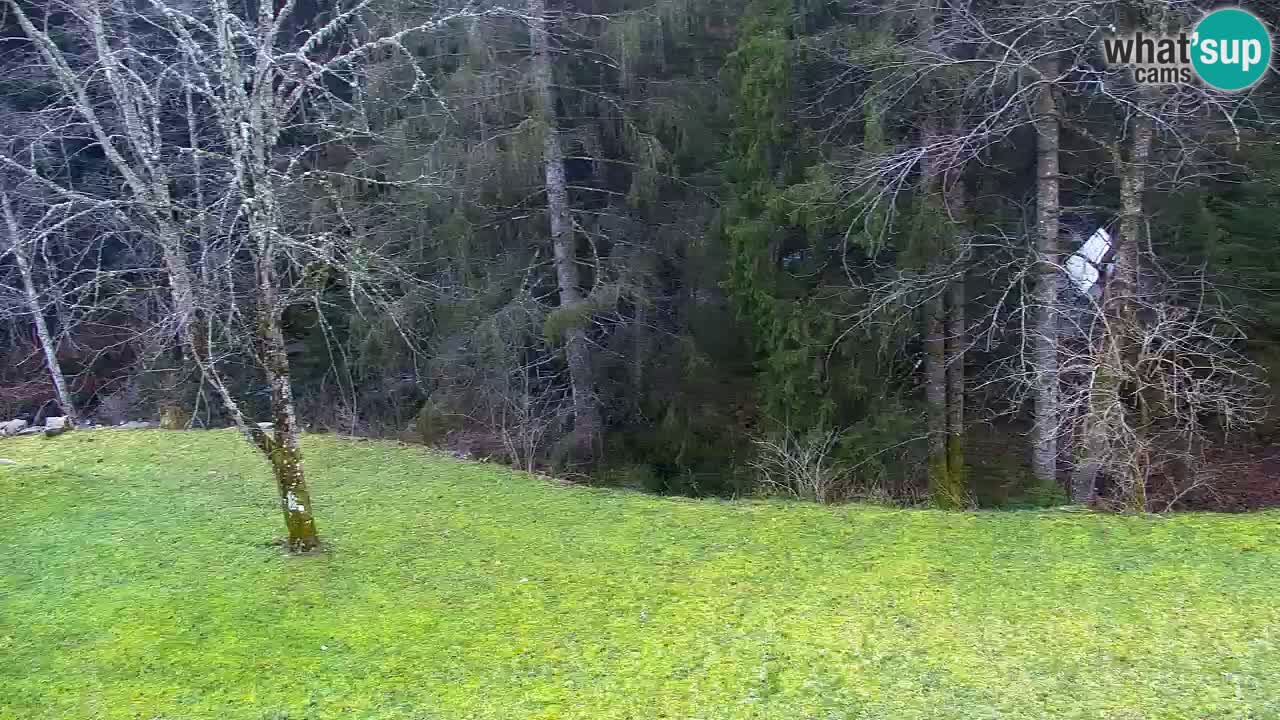 Webcam Lukanja – Pohorje houses a Water village