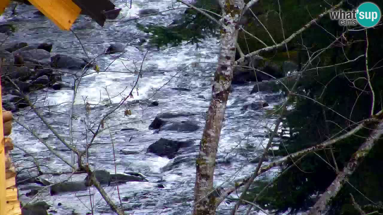 Webcam Lukanja – Water Village | Pohorje Houses