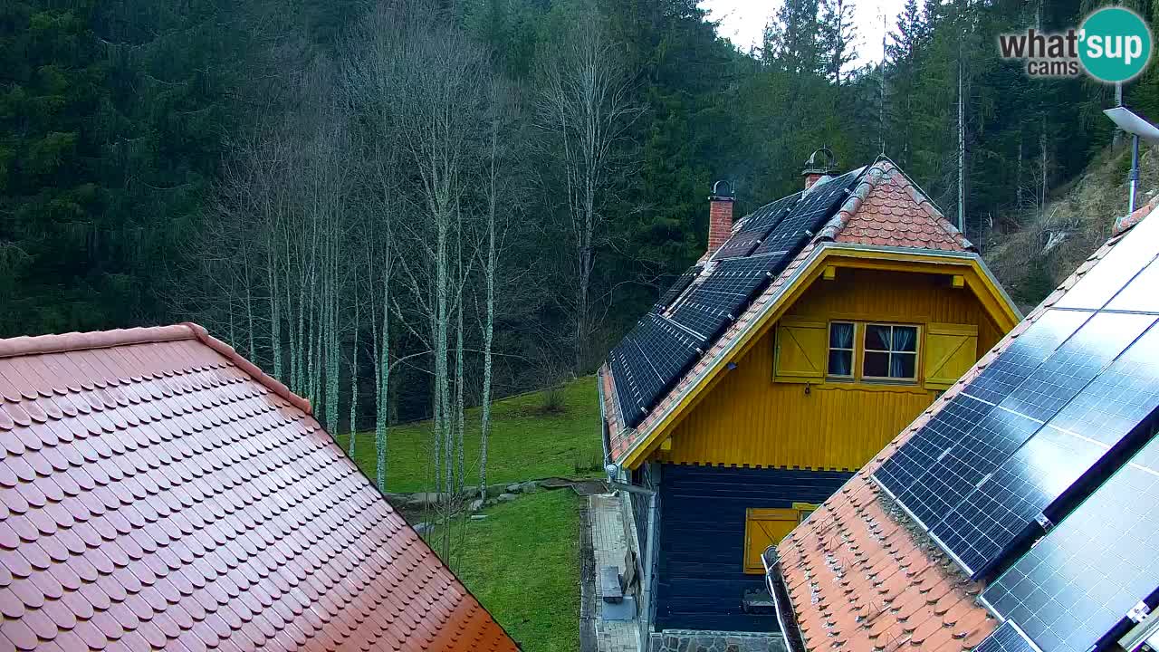 Webcam Lukanja – Water Village | Pohorje Houses