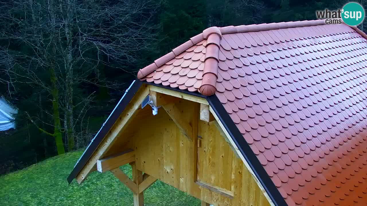 Webcam Lukanja – Water Village | Pohorje Houses