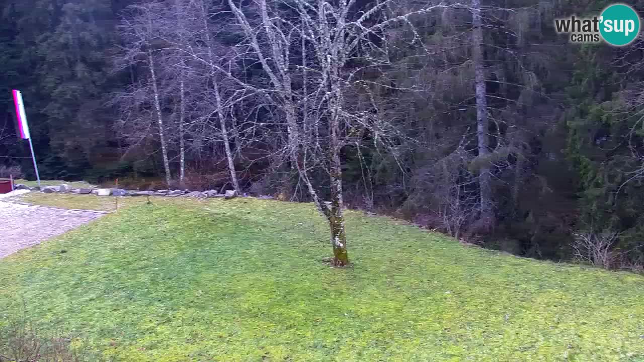 Spletna kamera Lukanja – Water Village | Pohorje Houses
