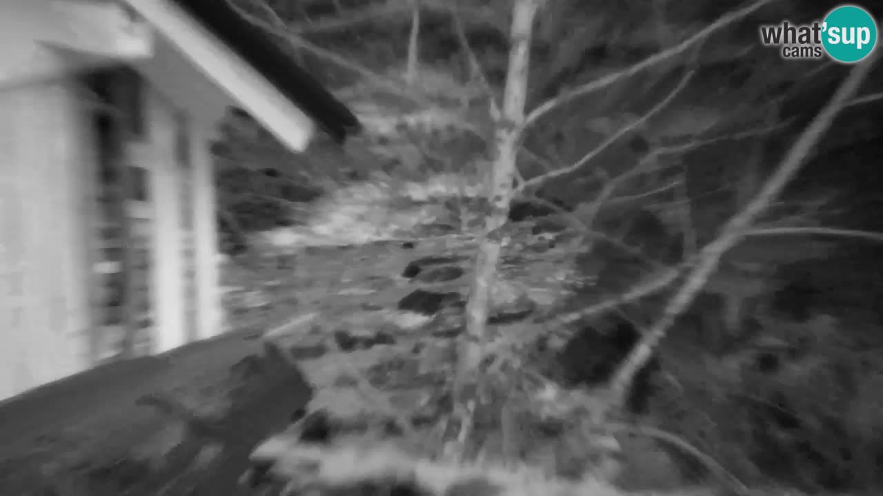 Web kamera Lukanja – Water Village | Pohorje Houses