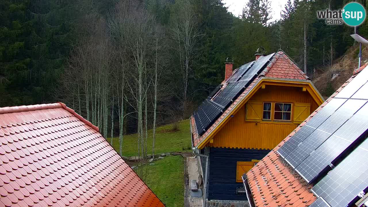 Webcam Lukanja – Water Village | Pohorje Houses