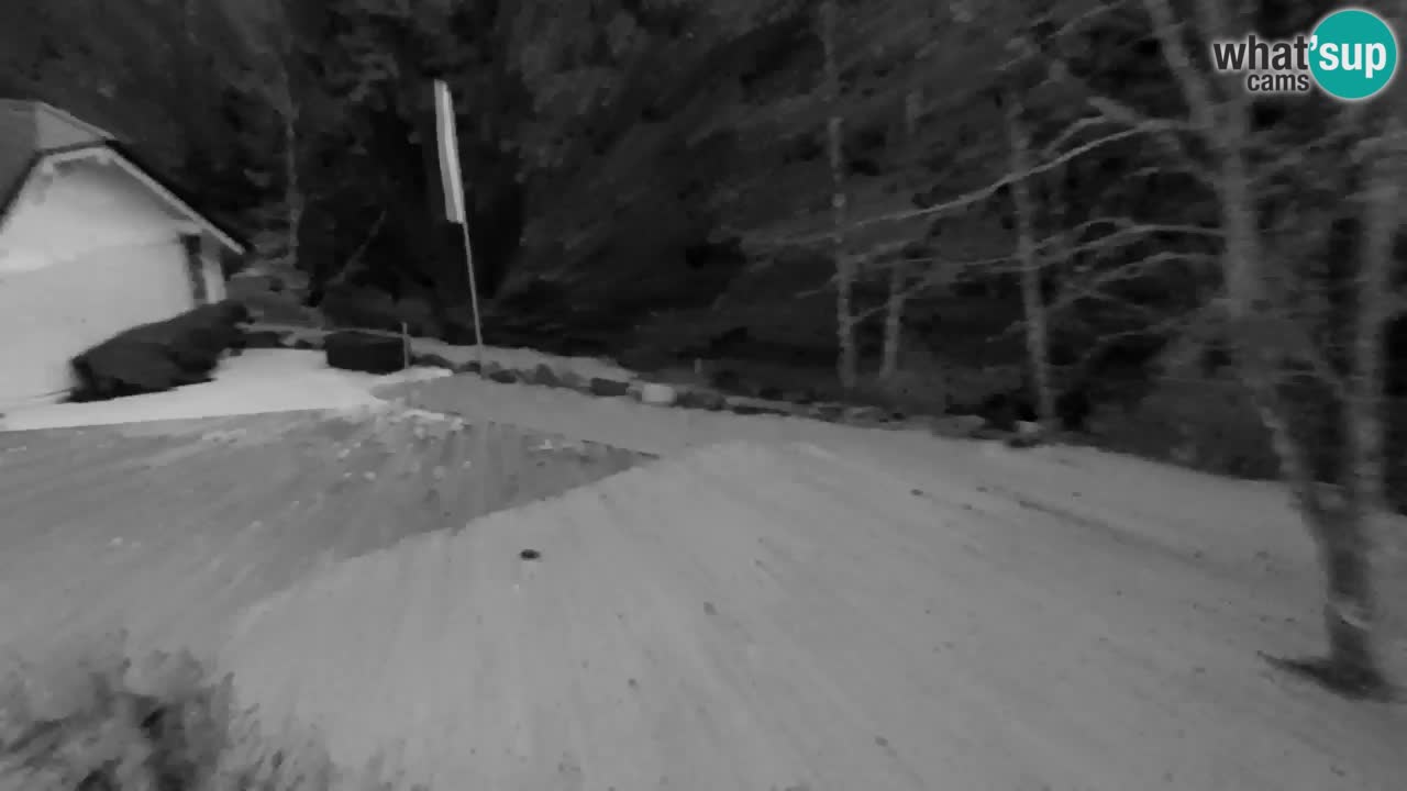 Webcam Lukanja – Water Village | Pohorje Houses