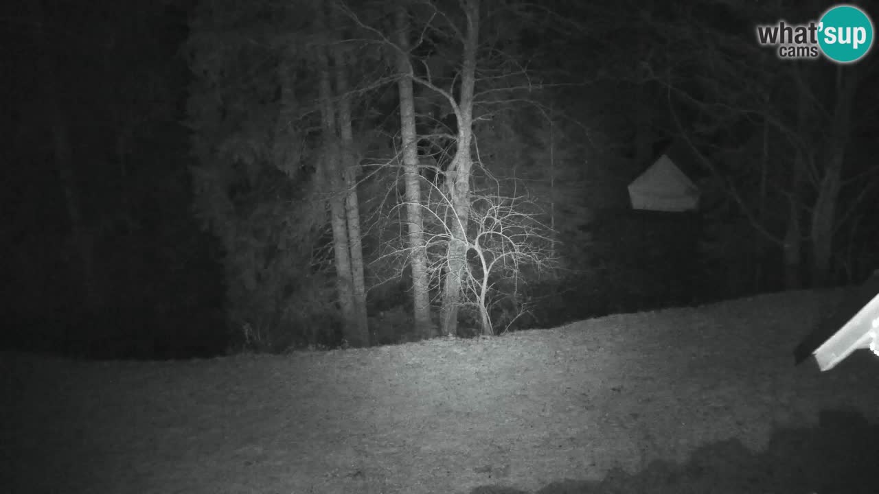 Webcam Lukanja – Water Village | Pohorje Houses