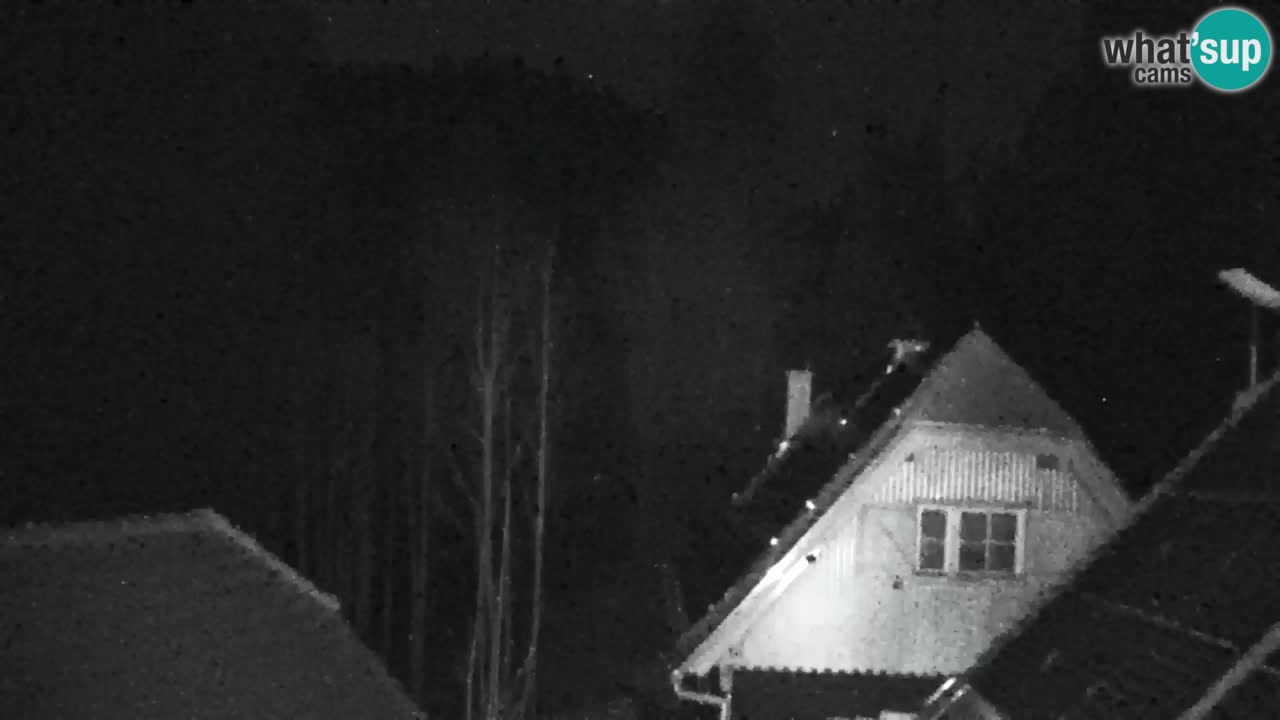 Webcam Lukanja – Pohorje houses a Water village