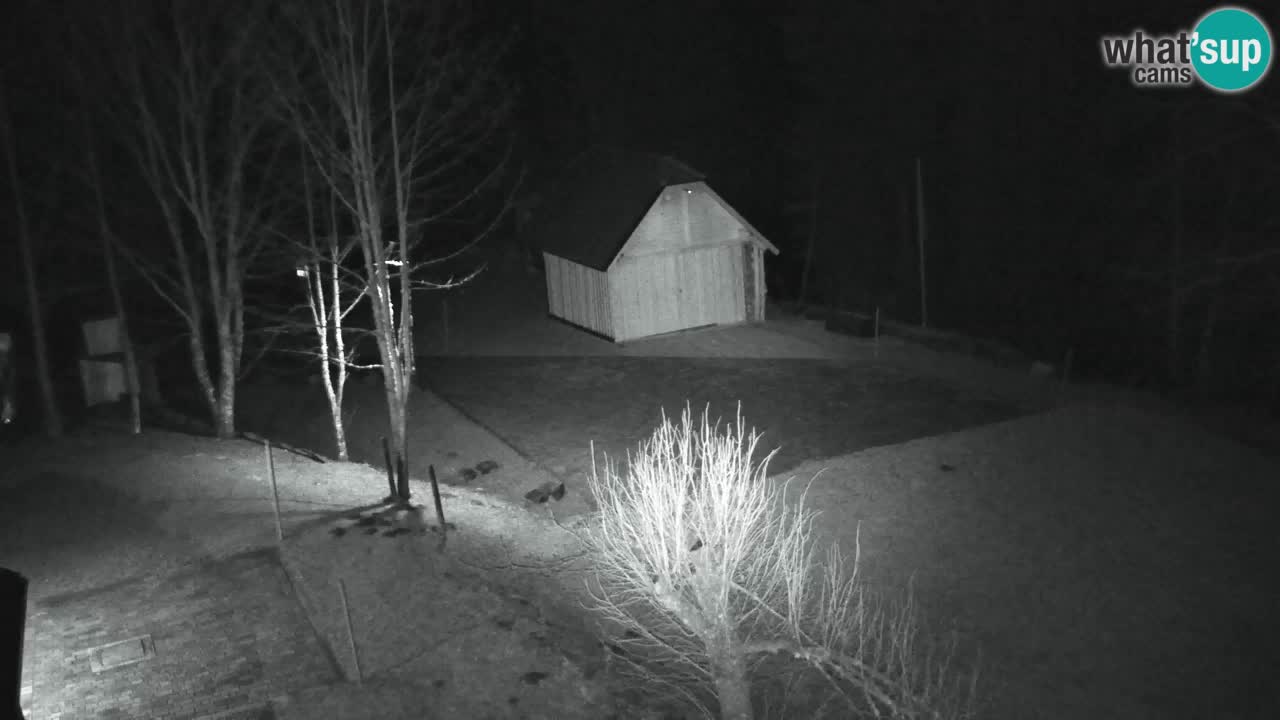 Webcam Lukanja – Pohorje houses a Water village