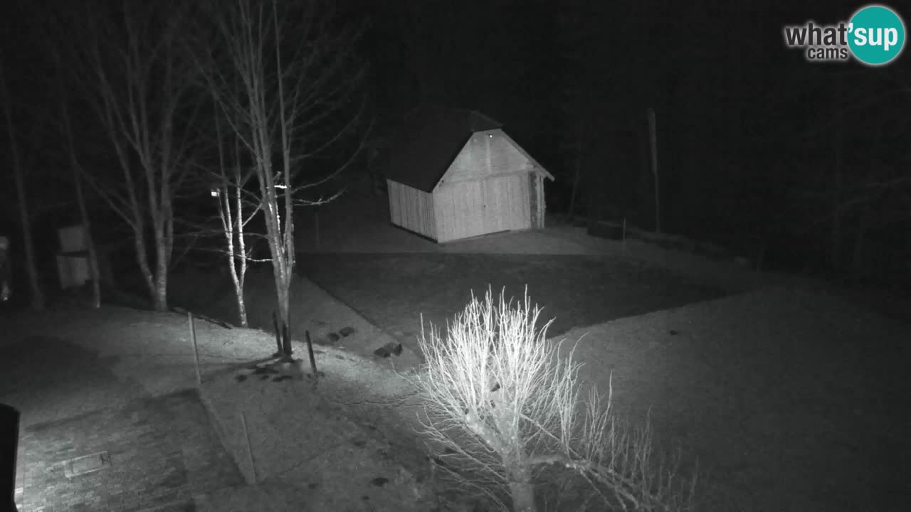 Webcam Lukanja – Water Village | Pohorje Houses